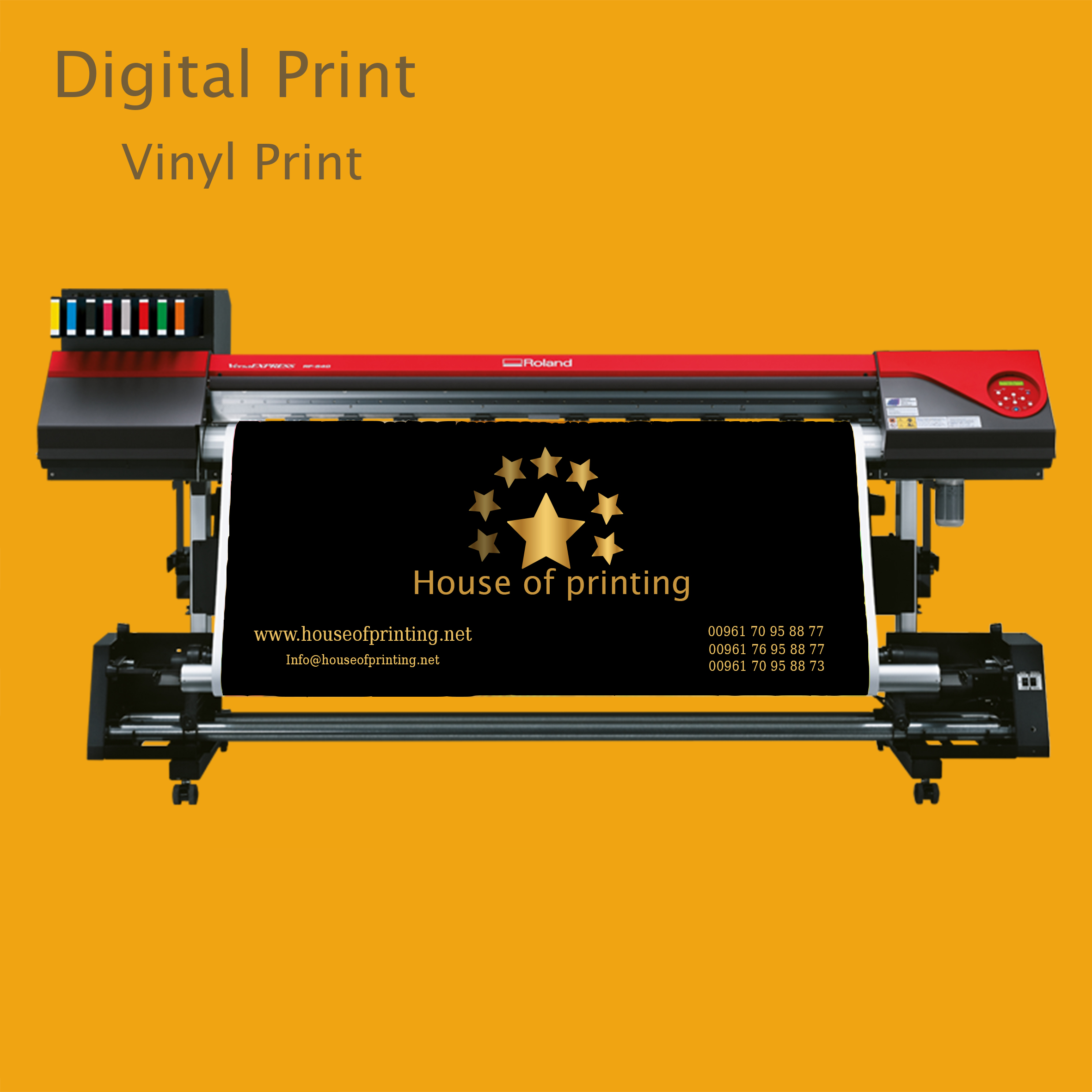 vinyl-print.jpg